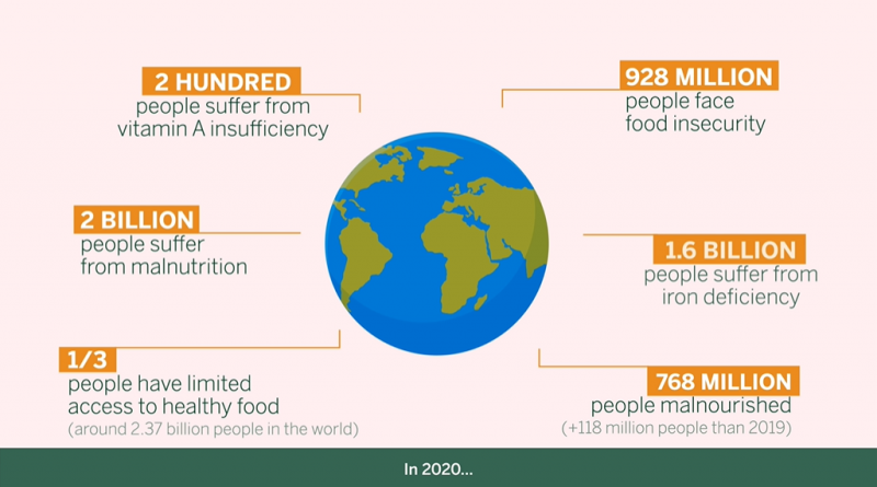 Projeto europeu RADIANT estuda solução de combate à escassez alimentar