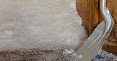 A arte da produção artesanal de sal na Figueira da Foz