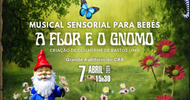 Musical Sensorial para Bebés - "A Flor e o Gnomo"