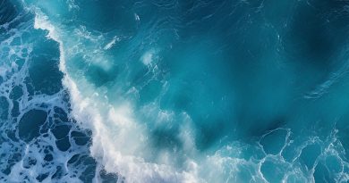 Mare OCEANUS dinamiza experiência de embarque para crianças